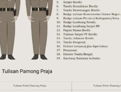 Kajari Bangka Selatan Mayasari : Kasus Baju Dinas Linmas Satpol PP Sudah Naik Kepenyidikan