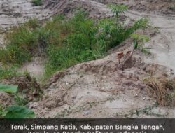 Tambang Pasir Milik Bpk S Diduga Sudah Merambah Kawasan Hutan Konservasi Gunung Mangkol