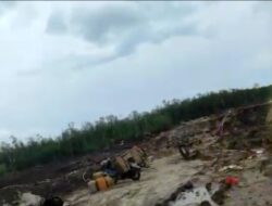 Biji Timah dan Kerusakan Kawasan Hutan Lindung Lubuk Besar