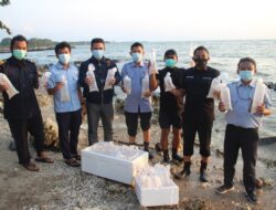 Polda Banten Gagalkan Penyelundupan 12.000 Bibit Lobster