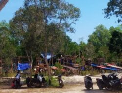 Maraknya Tambang Pasir Timah Ilegal di Hutan Bakau Belitung