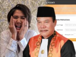 Keabsahan Ijazah Dipertanyakan, Natalia Rusli Mengundurkan Diri dari Peradin