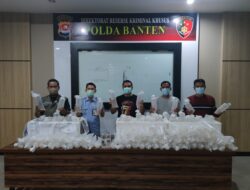 Polda Banten Berhasil Gagalkan Penyelundupan 34.992 Bibit Lobster