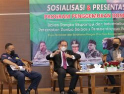 Pemprov Babel Canangkan Program Penggemukan Domba