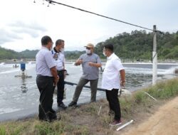 Gubernur Erzaldi Kagumi Tambak Udang Vaname Indocom