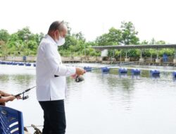 Molen Hadiri dan Memberikan Sambutan Grand Opening Lempah Kuning Kampak Serasi