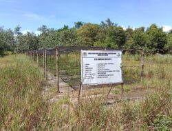 Proyek Mangrove Miliaran Kini Dilidik Polda Babel