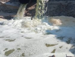 Limbahnya Mencemarkan Laut Jelitik, Tambak Udang Poenya Amen Didatangi Bakamla Babel