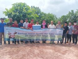Bupati Basel Terima 32 Ekor Hewan Kurban dari PT. Timah Tbk