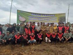 Bupati Basel Tanam Durian Lokal Babel