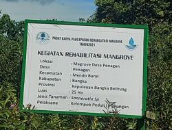 Soal TI Porak Porandakan Kawasan Rehabilitasi Mangrove Desa Penagan, Kades Ismail : Ada Bekingan Oknum