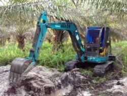 Kasus 405 Pohon Sawit PT SNS Dibabat Alat Berat, Tuntutan Jaksa Janggal