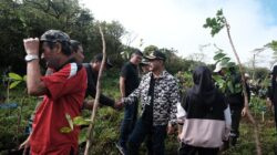 Sasar Lahan Kritis, Pemkab Gowa Kembali Tanam 4.000 Bibit Pohon di Tombolopao 