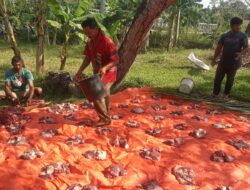 Tradisi Meugang di Aceh