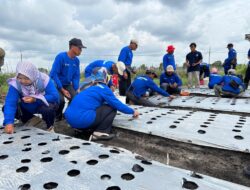 Pelatihan Budidaya Bawang Merah: Solusi PT Timah untuk Petani Belitung Timur