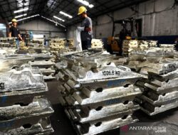 PT Timah: Dukungan Berkelanjutan untuk Ekonomi dan Ketahanan Pangan Masyarakat Pesisir