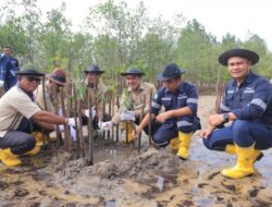PT Timah Tbk Tanam 2.500 Mangrove di Pantai Batu Kucing untuk Jaga Ekosistem Pesisir
