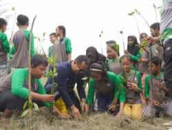PT Timah Wujudkan Pelestarian Lingkungan Lewat Penanaman 3000 Mangrove di Bangka