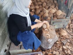 Dari Pakaian ke Peras Kelapa, Kisah Transformasi Usaha Nuriah bersama PT Timah   
