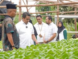 Kelompok Hidroponik Kundur Kembangkan Pertanian Berkat Pembinaan PT Timah
