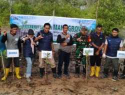 Mangrove untuk Pesisir Berkelanjutan, PT Timah Kembali Tanam Ribuan Mangrove di Desa Sawang Laut