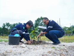 Kolaborasi dengan Pemerintah, PT Timah Tanam 500 Pohon Buah Dalam Rangka Peringatan Bulan K3 Nasional 