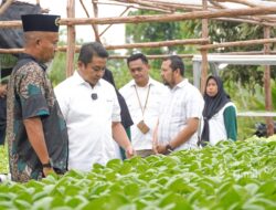 PT Timah Gerakkan Program Hidroponik Bagi Kelompok Perempuan di Desa Sawang Laut   