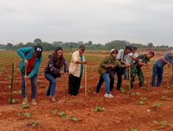 Sinergi Wartawan dan Kodim 0508 Depok, Tanam Koro Pedang untuk Ketahanan Pangan   