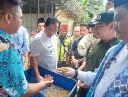 Pemkot Depok Alokasikan Dana Rp 196 Juta Bangun Hanggar Dan Budidaya Maggot