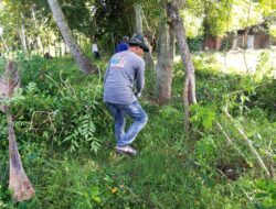 Sambut Idul Adha, Warga Tanjung Selamat Gelar Gotong Royong Massal