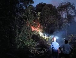 Tim Damkar PT TIMAH Sigap Padamkan Kebakaran Lahan di Kelurahan Sawang