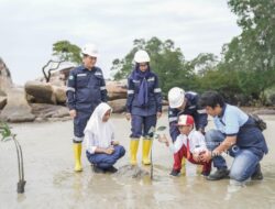 PT TIMAH Libatkan Pelajar Tanam Mangrove, Perkuat Edukasi Lingkungan Sejak Dini