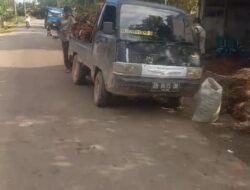 Oknum Masyarakat Diduga Terlibat Sawit Aset Sitaan Negara   