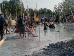Puluhan TI Diduga Ilegal Beroperasi di Tambak Udang Kuncui Jelitik
