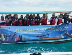 PT TIMAH Perkuat Ekosistem Lewat Atraktor Cumi    