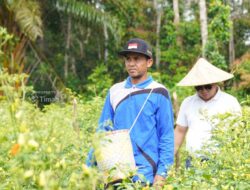 Dukung Ketahanan Pangan, PT TIMAH Perkuat Sektor Pertanian di Babel dan Kepri