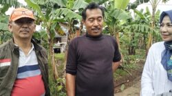 Kebun Berkah Harapan Indah, Oase Hijau dan Wisata Edukasi dengan Panggung Karaoke di Tengah Perkotaan