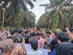 Lemah Pengawasan Pemda Disorot, Warga Kepung PT GML Tuntut Plasma Sawit