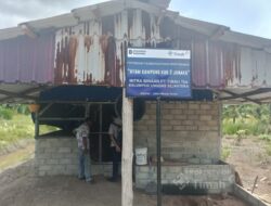 PT Timah Bina Peternak Ayam di Kundur Barat, Produksi Tembus 400 Ekor