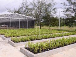 PT Timah Genjot Reklamasi 411 Hektare di 2026, Perkuat Komitmen Lingkungan