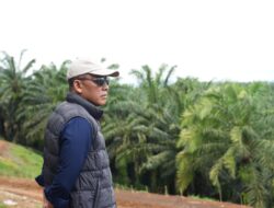 Waspada Kemarau Panjang, PalmCo Aktifkan Teknologi AI dan Infrastruktur Cegah Karhutla
