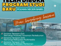 Polman Negeri Babel Buka 3 Prodi Baru Tahun 2026