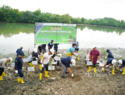Kolaborasi PT TIMAH, Pemkab Bangka dan Warga Sulap Kolong AKHLAK Jadi Kawasan Produktif