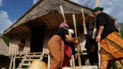 Cerita dari Mapur: Saat PT TIMAH Menjaga Jejak Adat yang Tak Pernah Padam