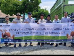 PT TIMAH Distribusikan 39 Sapi Kurban di Bangka Barat, Warga: Manfaatnya Sangat Terasa