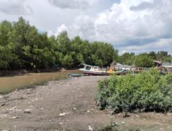 Sedimentasi Tak Terkendali, Nelayan Pangkalpinang Terancam Kehilangan Akses Laut   