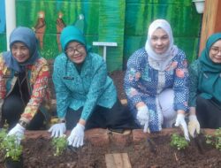 PT TIMAH Tanam 5.000 Mangrove di Pantai Mudong, Cegah Abrasi hingga Jaga Ekosistem Pesisir