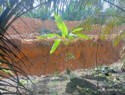 Kades Pemali Benarkan Kebun Warga Terdampak Aktivitas CV TMR, Suherman Saleh Soroti Dugaan Pelanggaran