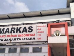 PMI Jakarta Utara Salurkan 9 Sapi dan 4 Kambing Qurban, Pastikan Daging Aman dan Tepat Sasaran