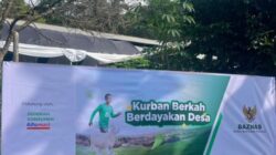 BAZNAS Salurkan Sedekah Pelanggan Alfamart, Hadirkan Kebahagiaan Idul Adha
